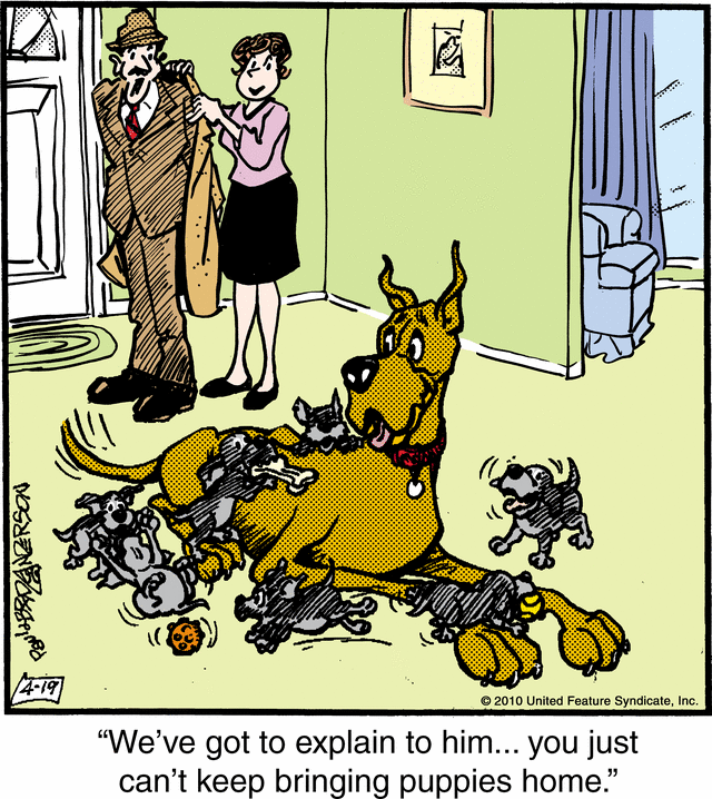 marmaduke